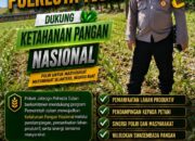 Dukung Astacita, Polsek Jatirogo Polresta Tuban Pantau Langsung Lahan Jagung milik warga Desa Demit