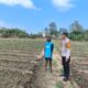 Dukung Ketahanan Pangan Nasional, Bhabinkamtibmas Desa Suka Damai Sambangi Petani Cabai dan Dorong Pemanfaatan Pekarangan