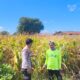 Dukung Ketahanan Pangan Nasional, Bhabinkamtibmas Desa Suka Mulya Sambangi Petani dan Dorong Persiapan Tanam Jagung