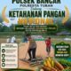 Bripda Dodi Eko Anggota Polsek Bancar Turun ke Ladang, Bantu Warga Jemur Hasil Panen Jagung