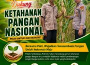 Polsek Tambakboyo Polres Tuban Turun Cek Tanaman jagung Warga di Desa Ngulahan