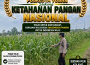 Polsek Soko Polresta Tuban Turun Langsung Cek Tanaman Jagung Warga