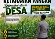 Polri Dukung Astacita, Polsek Rengel Polres Tuban Turun Cek Tanaman Jagung Warga di Desa Pekuwon