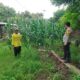 Pendampingan petani oleh Bhabinkamtibmas wujud komitmen polri untuk ketahanan pangan