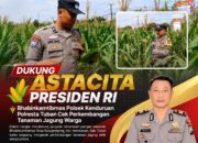Dukung Astacita Presiden RI, Bhabinkamtibmas Polsek Kenduruan Polresta Tuban Cek Perkembangan Tanaman Jagung Warga