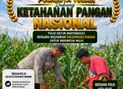 Dukung Astacita, Polsek Palang Polresta Tuban Pantau Langsung Lahan Jagung milik warga Desa Wangun