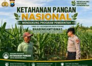 Polsek Montong Polresta Tuban Turun Cek Tanaman jagung Warga di Desa Pucangan