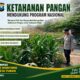 Polsek Montong Polresta Tuban Turun Cek Tanaman jagung Warga di Desa Pucangan