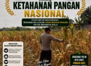 Polri Dukung Astacita, Polsek Semanding Polresta Tuban Turun Cek Tanaman jagung milik Warga di Desa Ngino