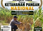 Polsek Soko Polresta Tuban Turun Langsung Cek Tanaman Jagung Warga