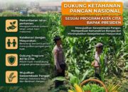 ANGGOTA POLSEK GRABAGAN SAMBANG DESA BINAAN, PANTAU LAHAN JAGUNG DAN MEMASTIKAN SISTEM IRIGASI MASIH LANCAR