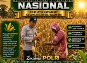 Polsek Plumpang Polresta Tuban Turun Langsung Cek Tanaman Jagung Warga