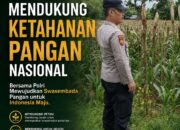 Polsek Tuban Dukung Ketahanan Pangan Nasional melalui Pemantauan Pertanian Warga