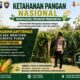 Polsek Montong Polresta Tuban Turun Cek Tanaman jagung Warga di Desa Bringin