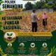 Polisi RW Polsek Senori Polresta Tuban Pantau Kodisi Tanaman Jagung Milik Warga Desa Medalem Guna Mendukung Program Ketahanan Pangan