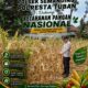 Polri Dukung Astacita, Polsek Semanding Polresta Tuban Turun Cek Tanaman jagung milik Warga di Desa Jadi