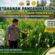 Polsek Montong Polresta Tuban Turun Cek Tanaman jagung Warga di Desa Pakel