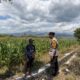 Dukung Swasembada Jagung Menuju Indonesia Emas, Bhabinkamtibmas Desa Pukat Sambangi Petani di Dusun Pukat