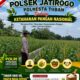 Polri dukung progam Astacita, Polsek Jatirogo Polresta Tuban Turun Cek Tanaman jagung Warga di Desa Kebonharjo