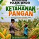Mendukung Program Ketahanan Pangan Nasional Anggota Bhabinkamtibmas Polsek Senori Polresta Tuban Monitoring Tanaman Jagung Warga Desa Leran