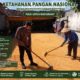Polsek Montong Polresta Tuban Turun Cek Tanaman jagung Warga di Desa Bringin