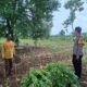 Bhabinkamtibmas Polsek Tambakboyo Dampingi Petani, Dukung Ketahanan Pangan di Lahan Ladang