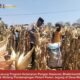 Mendukung Program Ketahanan Pangan, Bhabinkamtibmas Pendampingan Petani Panen Jagung