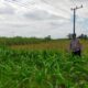Polsek Jatirogo Turun ke Lahan produktif Desa Demit Wujudkan Dukungan Astacita Swasembada Pangan