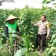Sinergi Bhabinkamtibmas dan Petani Labuapi Manfaatkan Pekarangan Demi Kemandirian Pangan